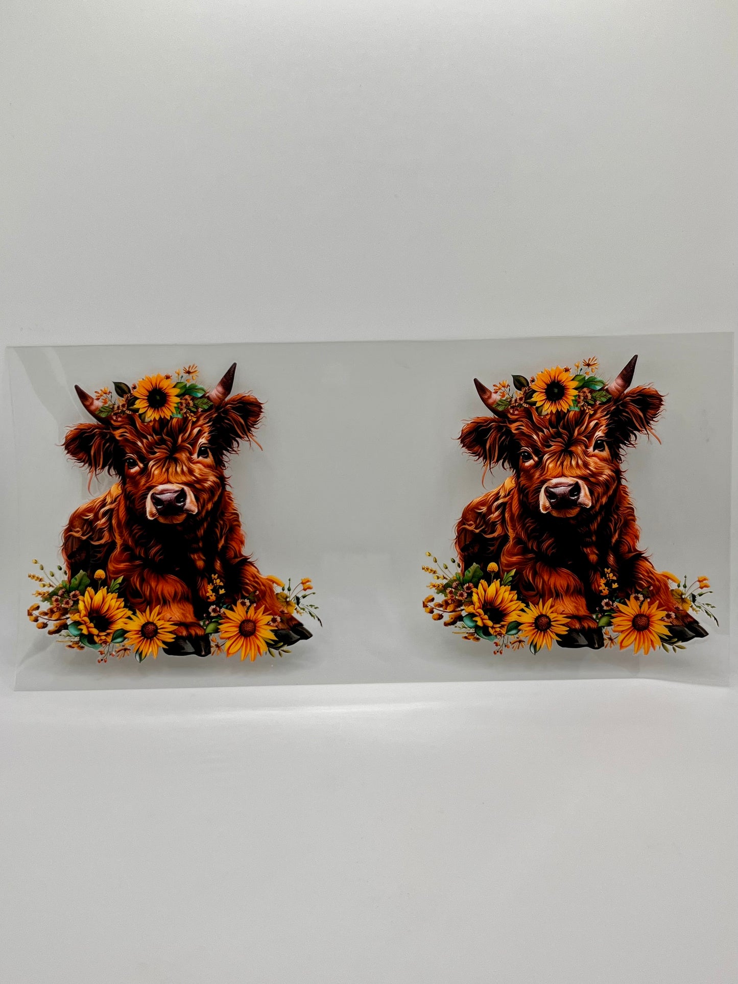 Highland Cow Flower