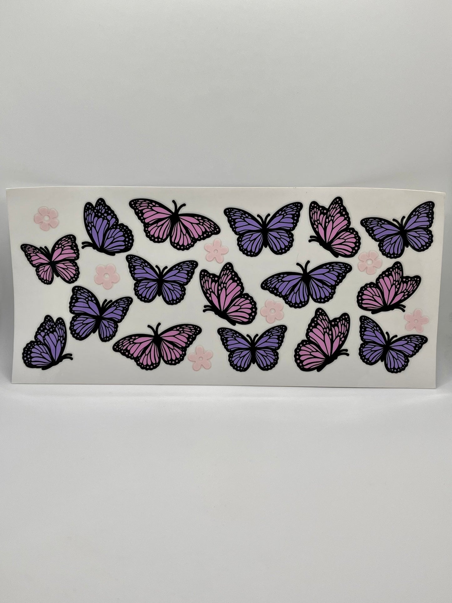 Butterflies 6