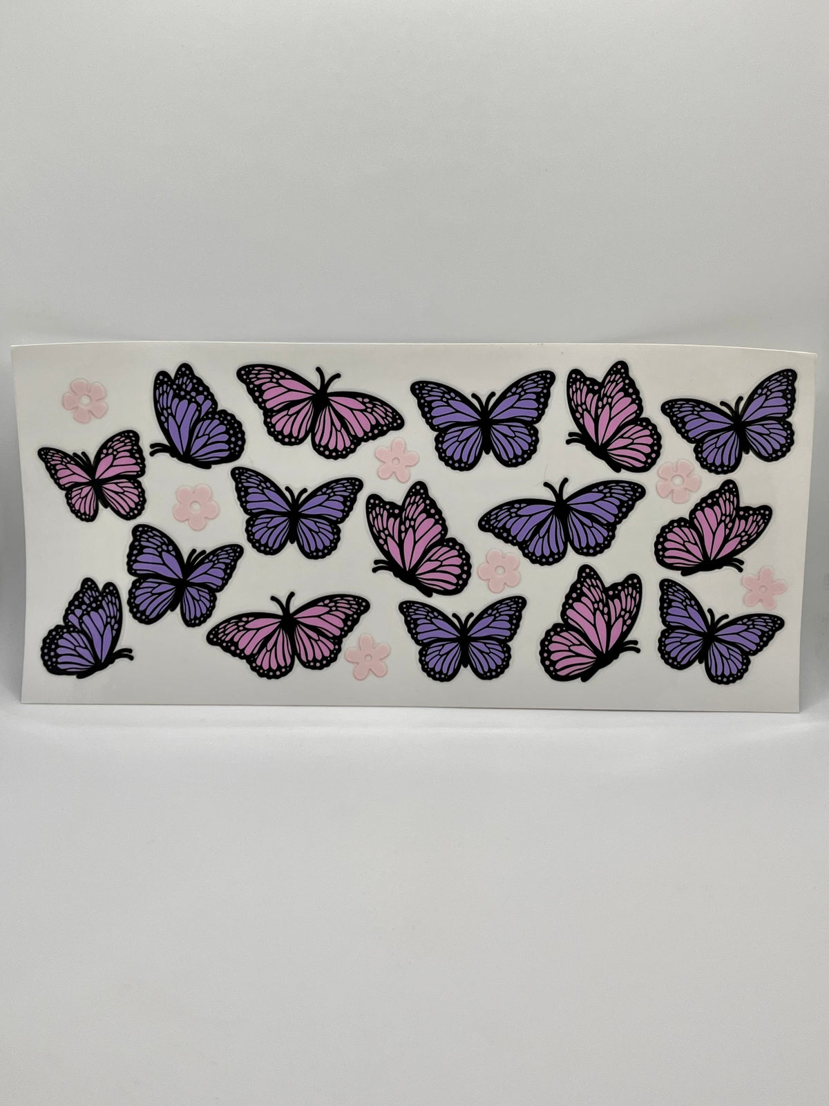 Butterflies 6