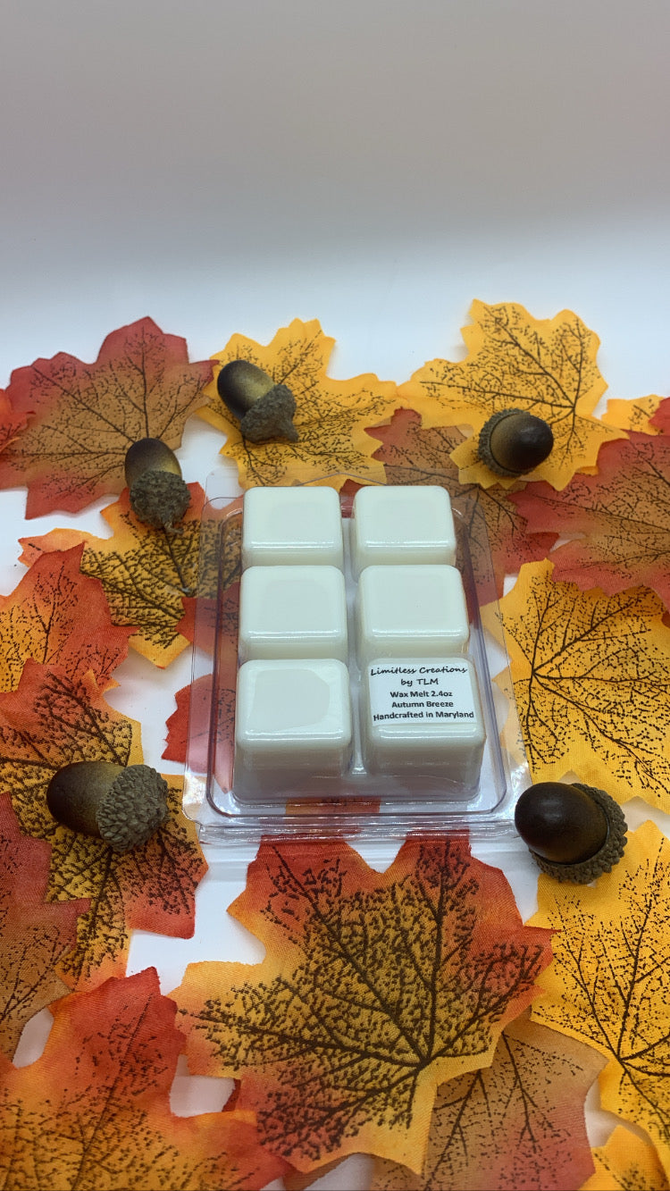 Limitless Seasonal 7oz/14oz Candles & 2.4oz Wax Melts